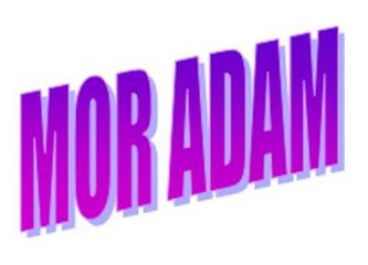 Bir acayip mor adam