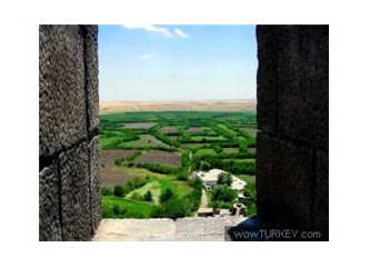 Diyarbakır