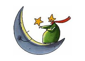 Papatya falı
