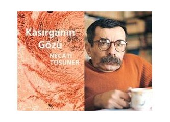 Kasırganın Gözü - Necati Tosuner