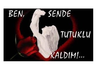 Seni seviyorum