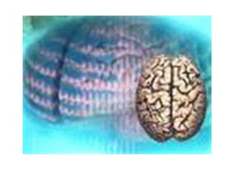 İki ayrı uzman: Sağ ve sol beyin yarımkürelerimiz