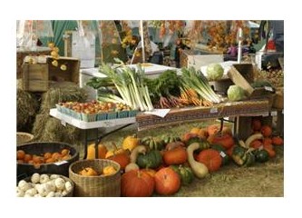 Değerli bir gayrimenkul lezzetli bir yemek gibidir