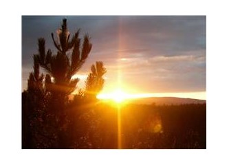 Ayakları olurum zamanın