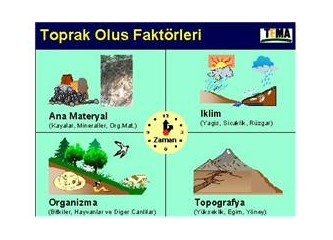 Üç kişiden bir'i toprağı tanımıyor