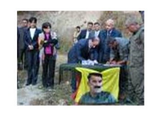 DTP' ye taviz vermekle ne kazandınız?