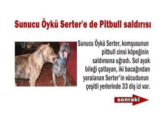 Kepek sorununa ABD’den köpek sorununa Türkiye’den çözüm