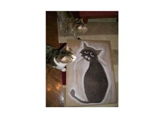 Sanatçılar kedilerden, kediler de sanattan anlıyor