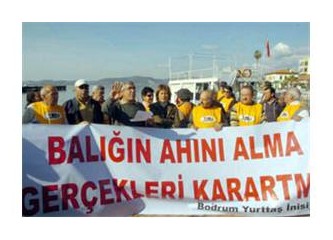 TEMA, balık ölümlerini protesto etti