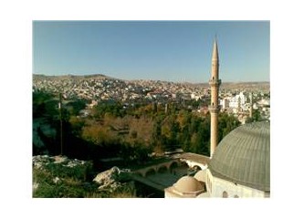 Tek buluşma noktamız