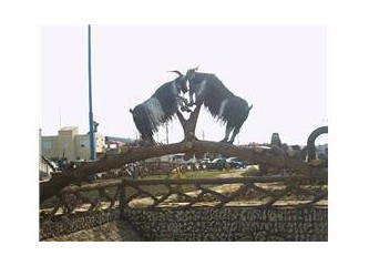 Blogun yazımıza katkıları..