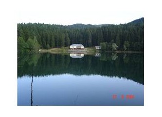 Karadeniz yaylalarında, yeşilin en görülmemiş tonunda kayboluşlar