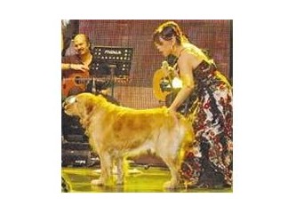 Cano ölmüş, Hülya kızmış, Canan kafa buluyo…