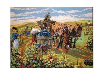 Kriz neden çıktı? Bağ bozumu.