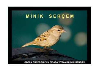 Miniksin ufacıksın