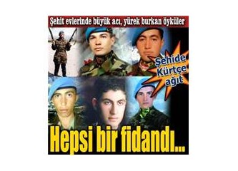 Nasıl bir bayram kutlayacaksınız? Memedin tabutu yine sıra sıra!..