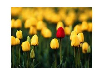 Gönlümün çiçekcisi kansere yenik düştü