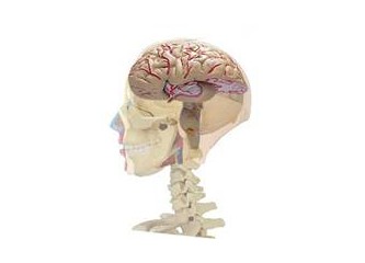 Sorumluluk ciddi iştir, ciddiyetsizlere duyurulur!