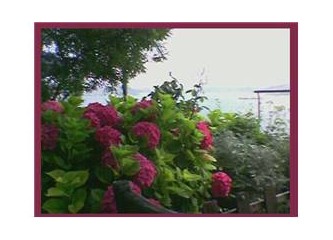 Kurban Bayramı ve Çocuklar