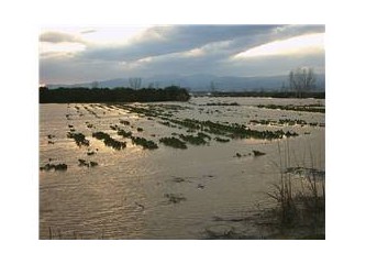 Rahmet mi, felaket mi?