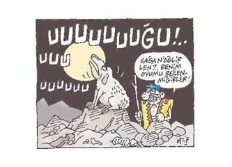 Sarışınlık ve aptallık