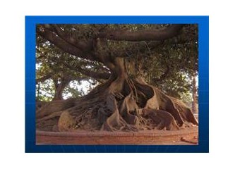 İlker abi "Senin baban öldü" dedi.