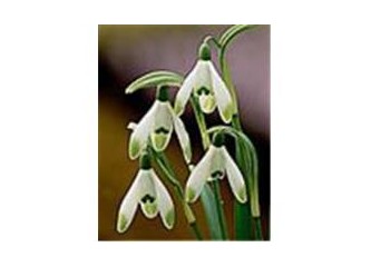 Günlük tutmanın önemi ve gereği