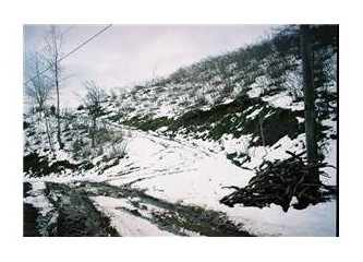 Muhabbete kar yakışır