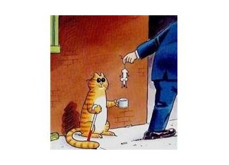 Adamlar….