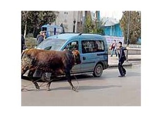 Bugün bayram..