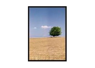 Dostları arayalım. [muhtELİF], nihal, Serap İnce neredesiniz?