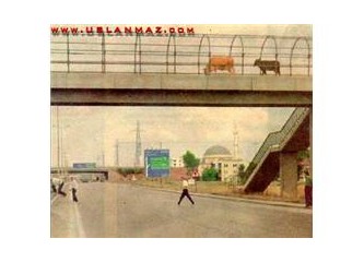 Vay ahlaksız batı