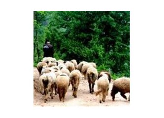 Çocukluğuma rastlasaydım...