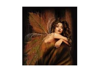 Portobello Cadısı/Paulo Coelho