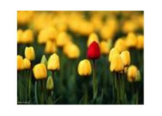 Bilumum solcular "Ergenekon" hadisesini tartışıyor