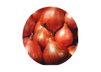 Mucize besin kuru soğan!