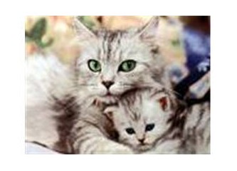 Sorumluluğun fedakarlığa dönüştüğü bedenler...