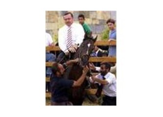 Salınada salınada gezersin