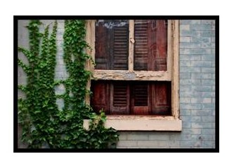 Geçmiş zamanlar bahçesi...