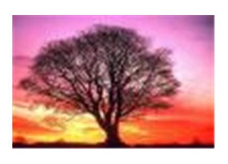 İttihatçı paşaların boynumuza taktığı püskül: Ermeni sorunu