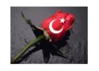 Dev ülke..