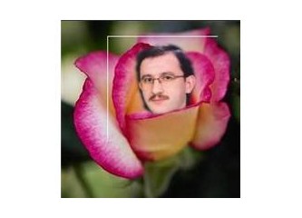 Canlı Kitapları Okumak