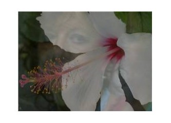 Bu  şiir senindir Roziçkam