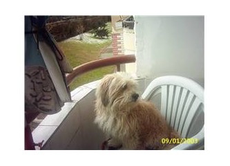 O'nu eve ilk getirdiğimde küçücük bir makyaj çantasındaydı