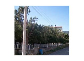 Çarpık işler, beni şişler