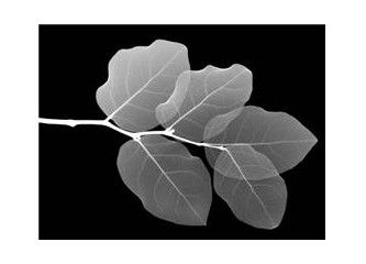 Doğrunun ne olduğu değil, neyin doğru olduğudur önemli olan