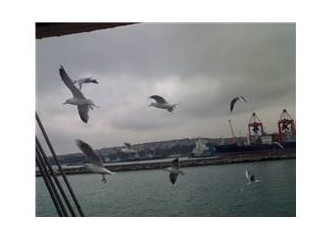 Sesleniş