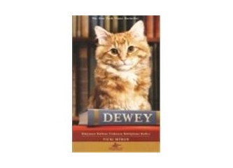 Kütüphane kedisi ''Dewey''