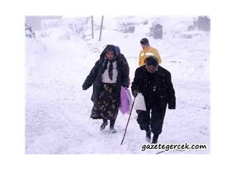 Ardahan'da hayata direnen yürekler