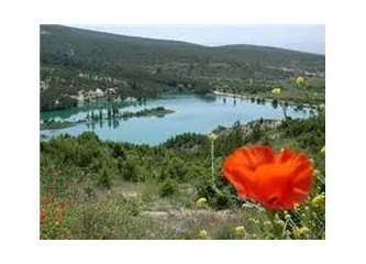 Cumartesi pazarı
